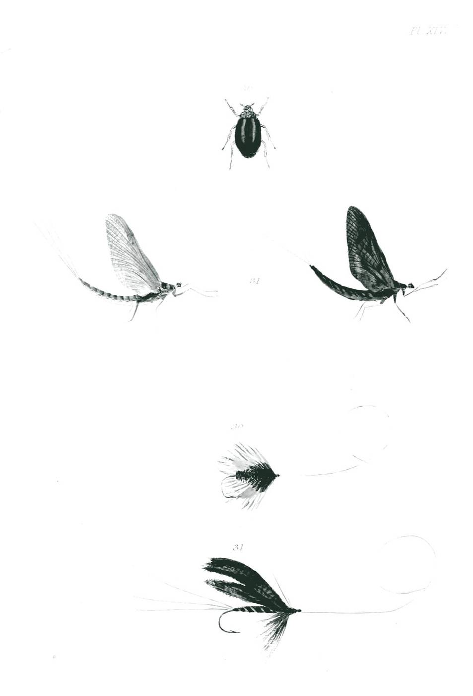 Natural and artificial flies