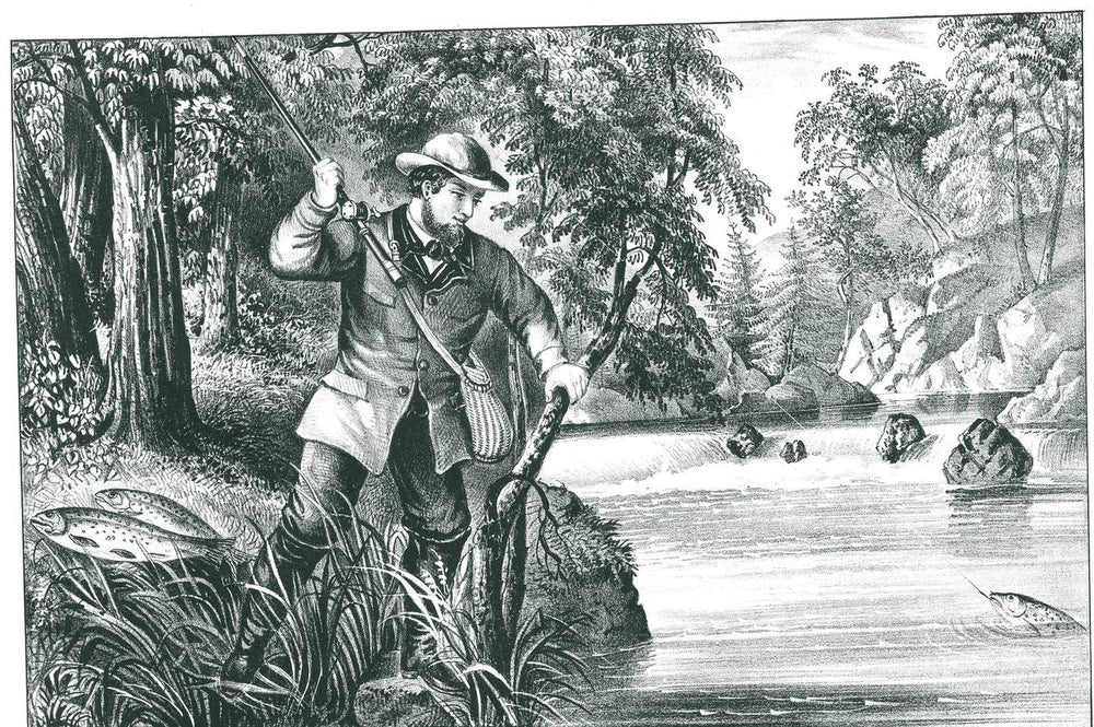 Brook trout fishing